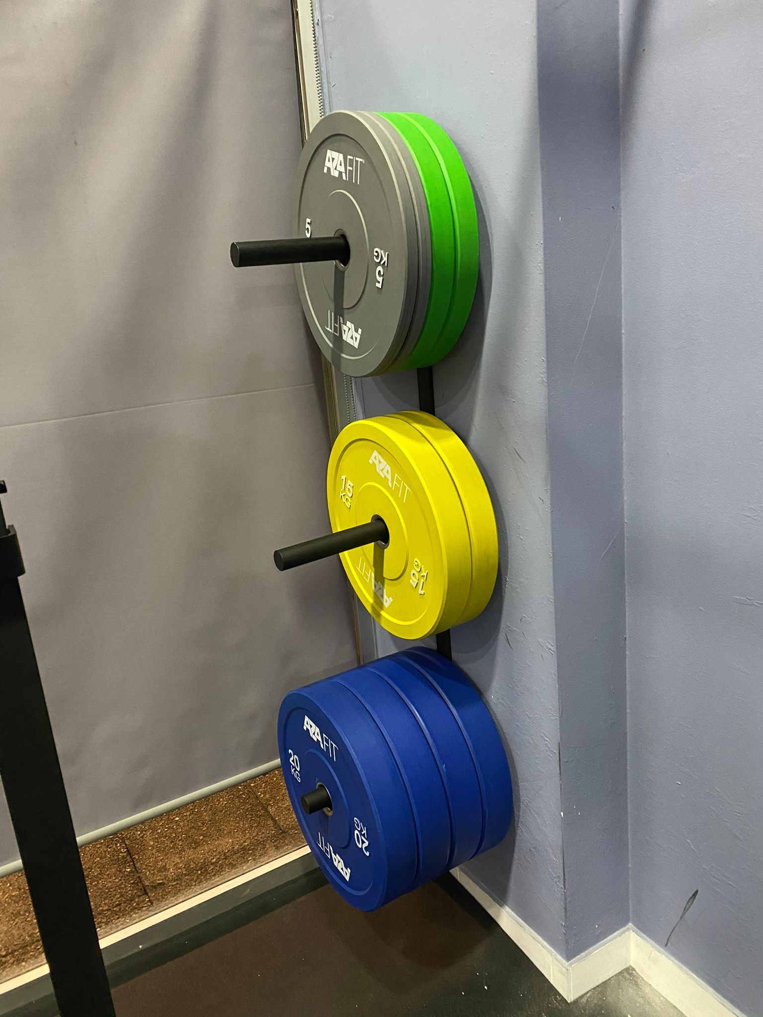 Rack de armazenamento de discos bumper montado na parede
